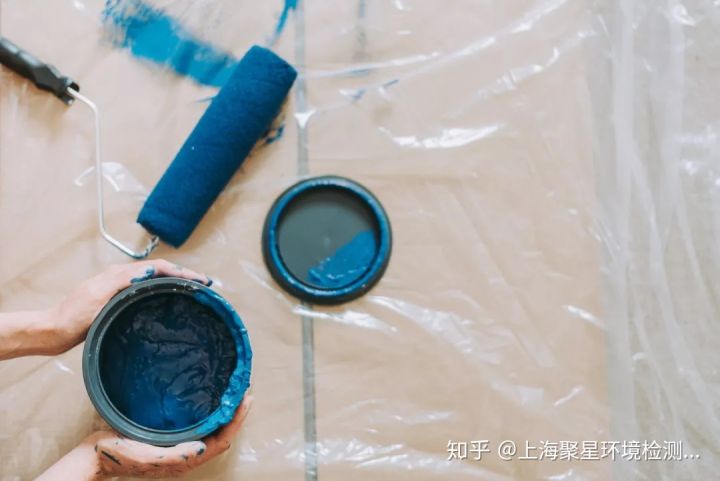上海環(huán)境檢測咨詢服務(wù)有限公司